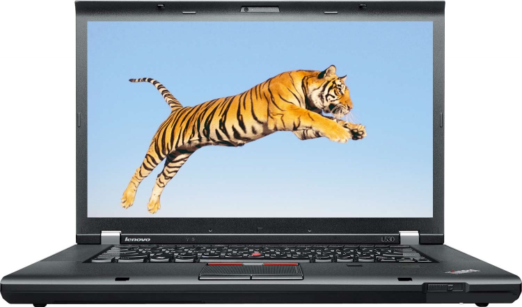 Portable Lenovo ThinkPad L530 2479B95 - Gaming performance, specz