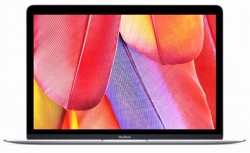 Apple MacBook MF865RU/A 