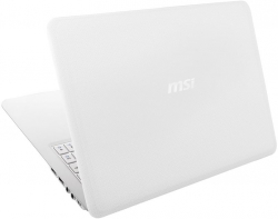 MSI S 30 0M-080