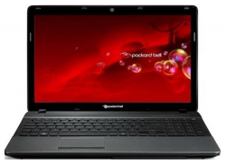 Packard Bell EasyNote F 4211-323