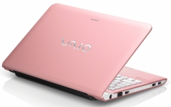 Sony VAIO SV-E1111M1R/P