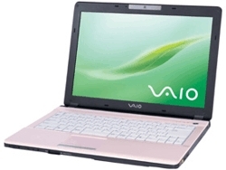 Sony VAIO VGN-FJ170/B 